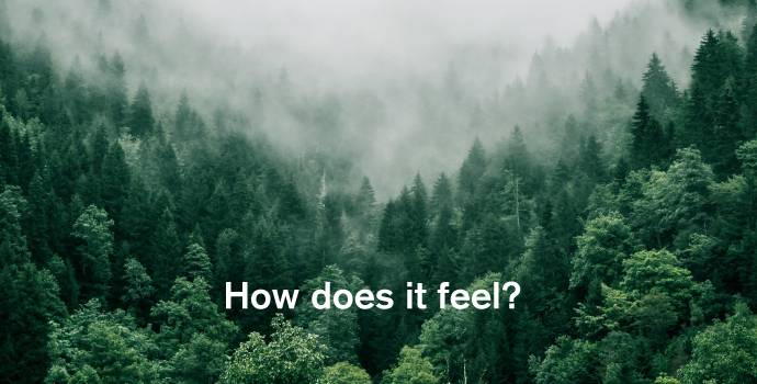 eco-anxiety - how does it feel?
